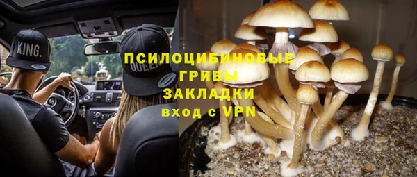 каннабис Алзамай