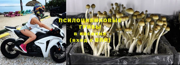 каннабис Алзамай